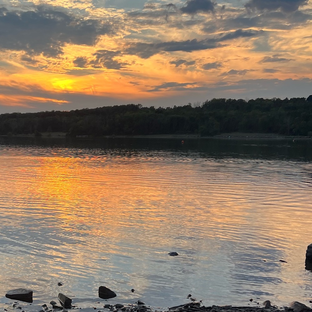 Meet your Posher, Theresa